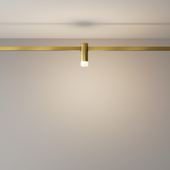 Магнитный трековый светильник Maytoni Technical Skim TR145-1-3W3K-W-BS