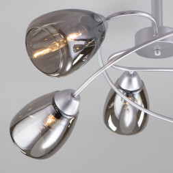 Люстра на штанге Eurosvet Noemi 30168/6 матовое серебро