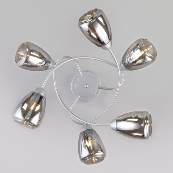 Люстра на штанге Eurosvet Noemi 30168/6 матовое серебро