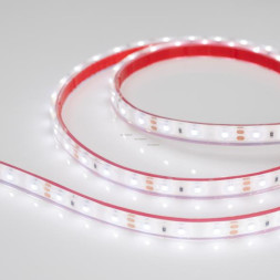 Лента Arlight RTW 2-5000PGS 3528 015446 24W 12V белый (дневной) IP67