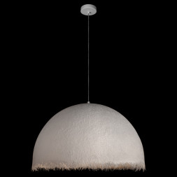 Подвесной светильник LOFT IT 10372/800 Plancton