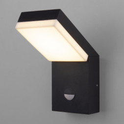 Уличный настенный светильник Elektrostandard 1541 TECHNO LED с датчиком движения Чёрный