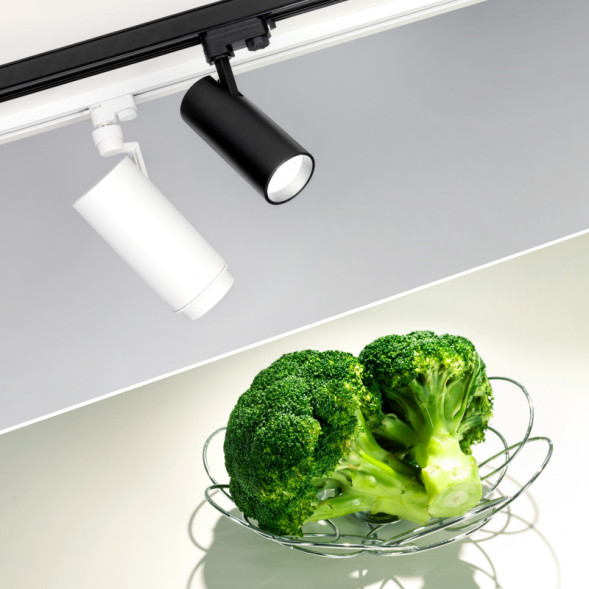 Трековый светильник Arlight LGD-ZEUS-4TR 029999