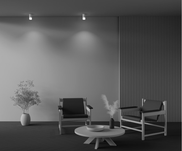 Накладной точечный светильник Maytoni Technical Pauline C007CW-01W