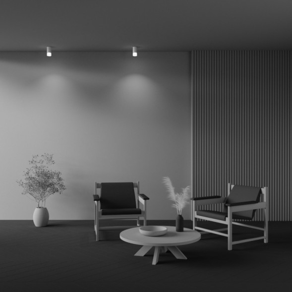 Накладной точечный светильник Maytoni Technical Pauline C007CW-01W