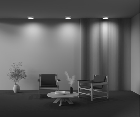 Потолочный светильник Maytoni Technical Zon C032CL-24W3K-RD-MG