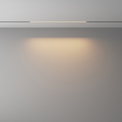 Трековый светильник Maytoni Technical BASIS TR240-2-12W3K-B