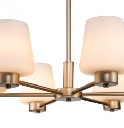 Подвесная люстра Indigo V000001 TULIP