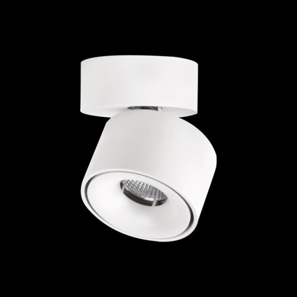 Накладной точечный светильник Citilux Стамп CL558010N