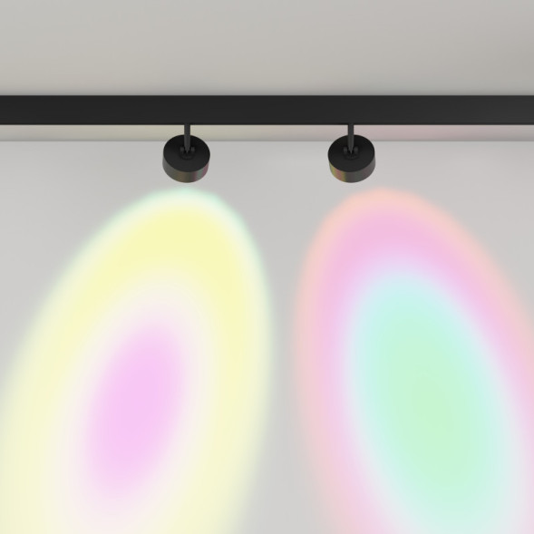 Светодиодный трековый светильник Maytoni Technical TR217-2-15W3K-B Lens