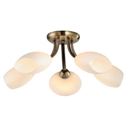 Потолочная люстра Lussole CLARKDALE LSP-0189