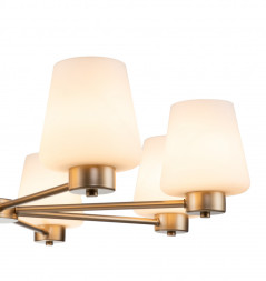 Подвесная люстра Indigo V000002 TULIP