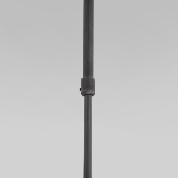 Подвесной светильник Eurosvet PACIFIC 50255/1 титан