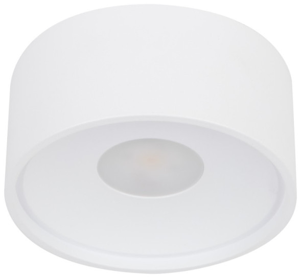 Влагозащищенный светильник WERTMARK WTA.O01.007.30.07