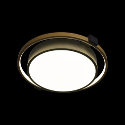 Потолочный светильник LOFT IT Mike 10169