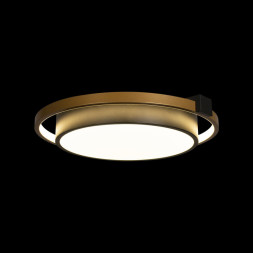 Потолочный светильник LOFT IT Mike 10169