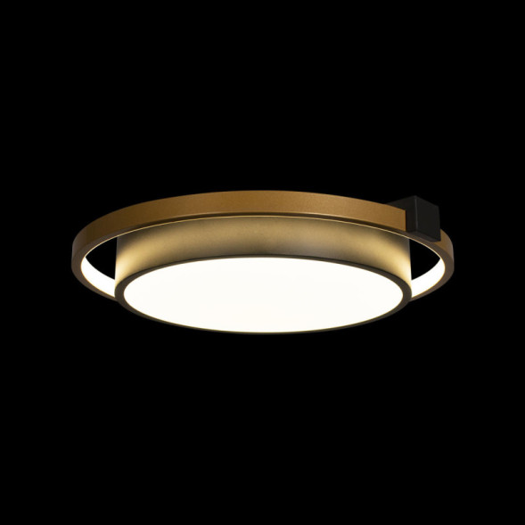 Потолочный светильник LOFT IT Mike 10169