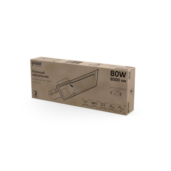 Консольный светильник Gauss 629534280 AVENUE