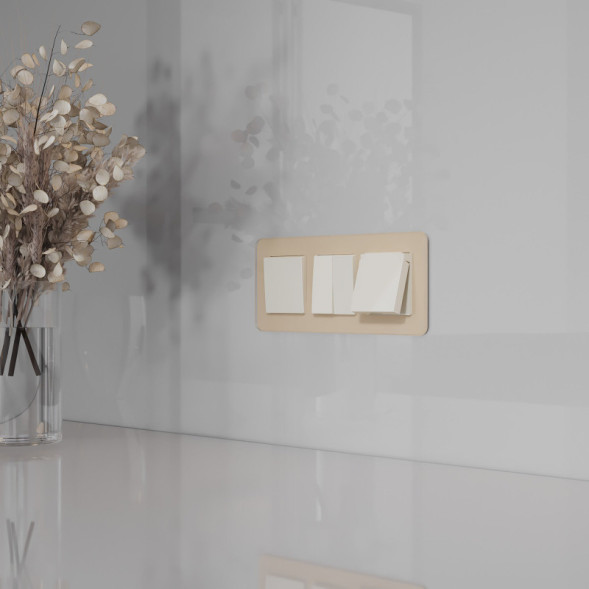 Розетка Werkel W1171203 N