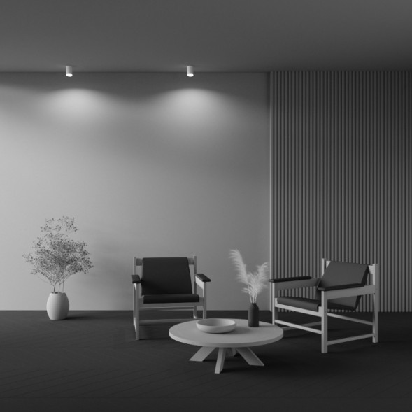 Накладной точечный светильник Maytoni Technical Pauline C008CW-01W