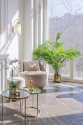 Бра Maytoni ANTIC MOD302WL-01W