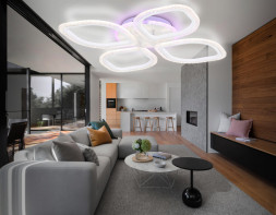 Потолочная люстра Ambrella Light FA4501