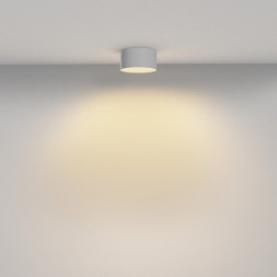 Потолочный светильник Maytoni Technical C032CL-12W2.7K-RD-W Zon