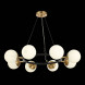 Подвесная люстра Evoluce Forli SLE220403-08