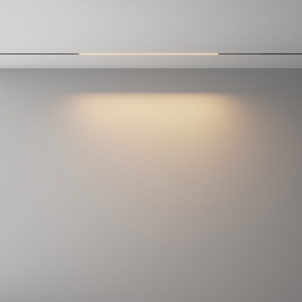 Трековый светильник Maytoni Technical BASIS TR240-4-12WTW-DD2-B