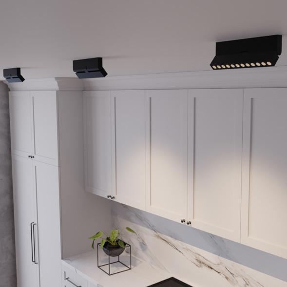 Потолочный светильник Maytoni Technical Points Rot C136CL-12W3K-B