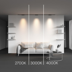 Магнитный трековый светильник Maytoni Technical Points TR193-1-10W2.7K-M-B