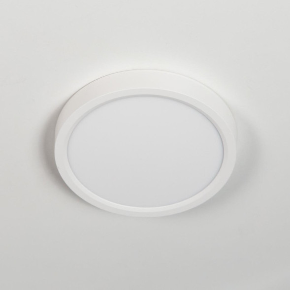 Потолочный светильник Citilux Бейсик CL738120N