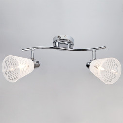 Спот Eurosvet Organic 20053/2 хром