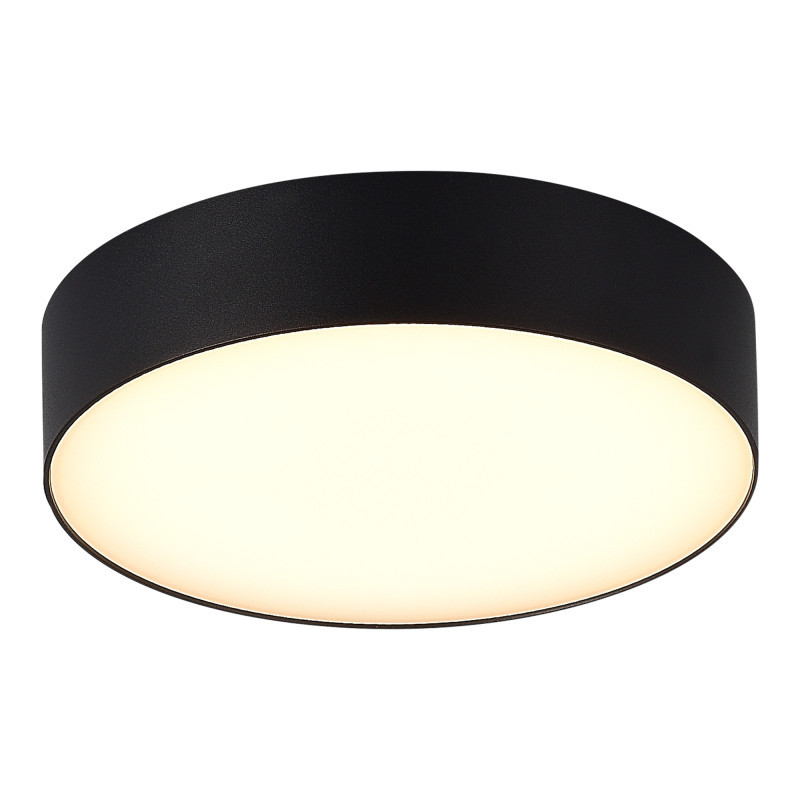 Накладной уличный светильник ST-Luce SL9518.402.01 SUN