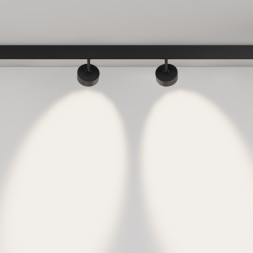 Светодиодный трековый светильник Maytoni Technical TR217-4-15WTW-DD-B Lens