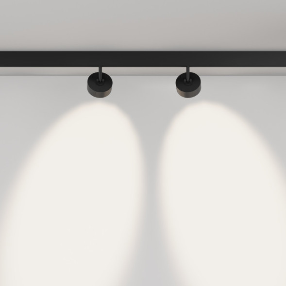 Светодиодный трековый светильник Maytoni Technical TR217-4-15WTW-DD-B Lens