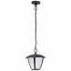 Подвесной уличный светильник Lightstar Lampione 375070