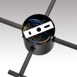 Потолочная люстра LUMION DABRA 8186/8C