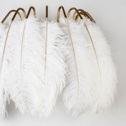 Бра MODELUX MS.965.02 BS