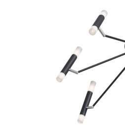 Потолочная люстра Maytoni VIGO MOD620CL-16B