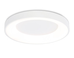 Потолочный светильник Ambrella Light FZ1401 ORBITAL