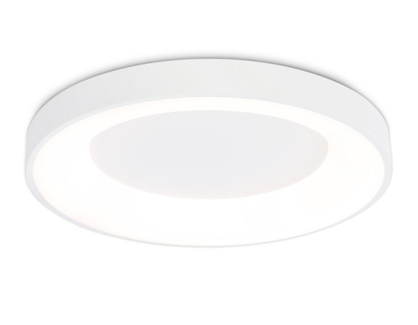 Потолочный светильник Ambrella Light FZ1401 ORBITAL
