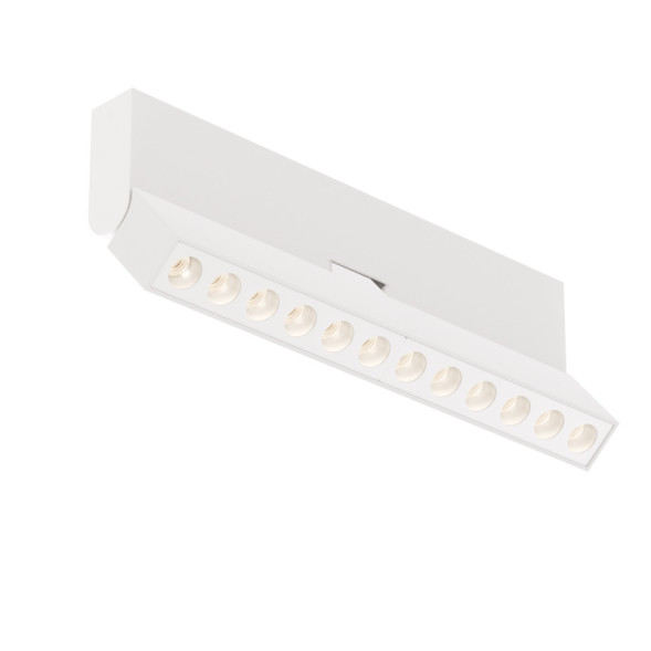Потолочный светильник Maytoni Technical Points Rot C136CL-12W3K-W