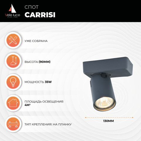 Накладной точечный светильник Vele Luce Carrisi VL8067S31