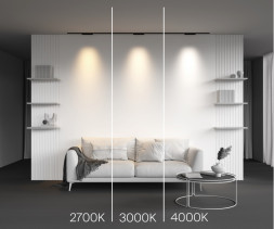 Магнитный трековый светильник Maytoni Technical Points TR193-1-10W3K-M-B