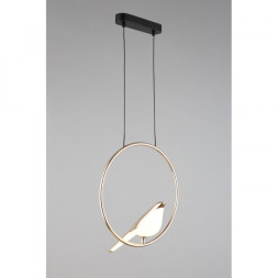 Потолочный детский светильник APLOYT APL.822.06.10 Astor