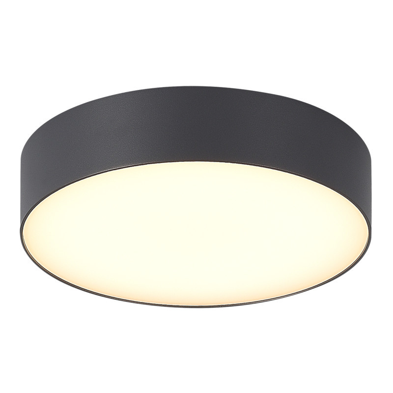 Накладной уличный светильник ST-Luce SL9518.702.01 SUN