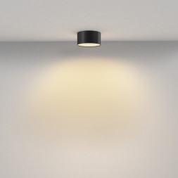 Потолочный светильник Maytoni Technical C032CL-12W2.7K-RD-B Zon