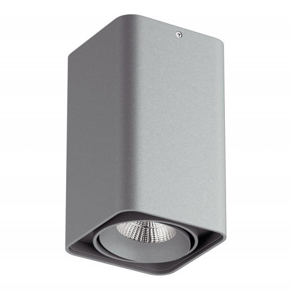 Точечный влагозащищенный светильник Lightstar Monocco 052139