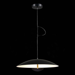 Подвесной светильник ST-Luce Armonico SL6502.403.01